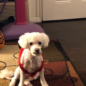 Meet your Posher, Bertha